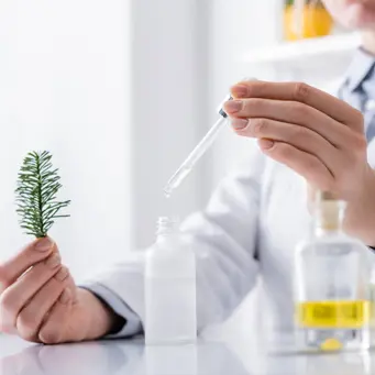 مواد آرایشی