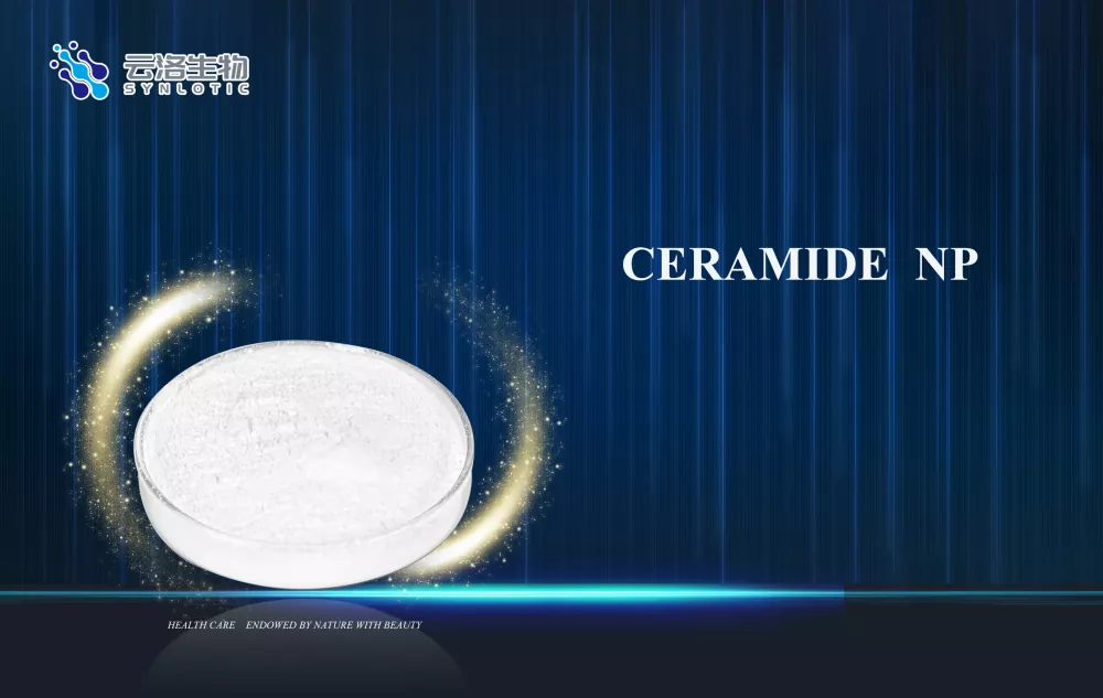 عنصر ستاره برای تعمیر سد - Ceramide NP