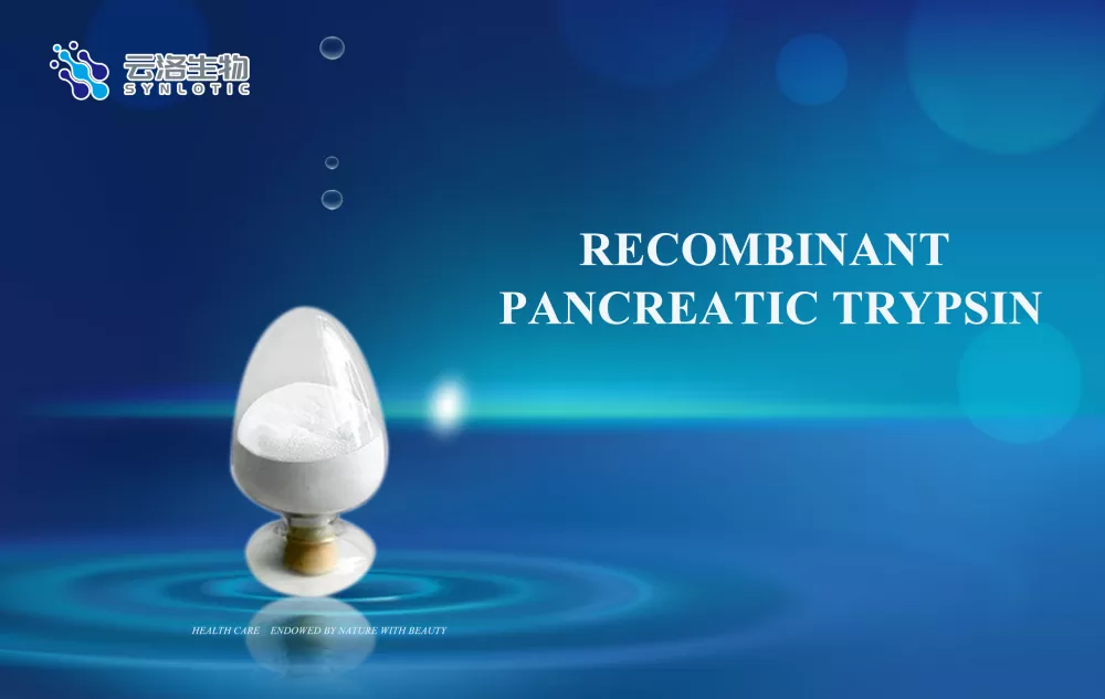 نقش آنزیم ها چیست؟