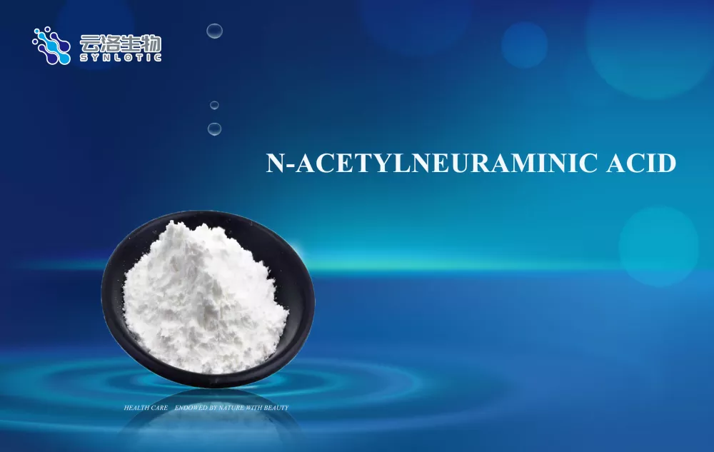 اسید N-acetylneuraminic
